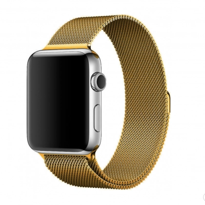 Ремешок Coteetci W6 Magnet Band Gold (WH5203-GD) for iWatch 42/44mm золотой