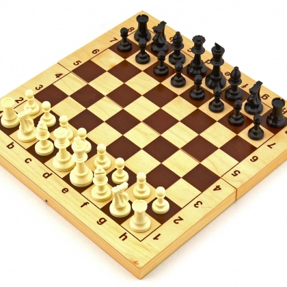 Шахматы с пластмассовыми фигурками