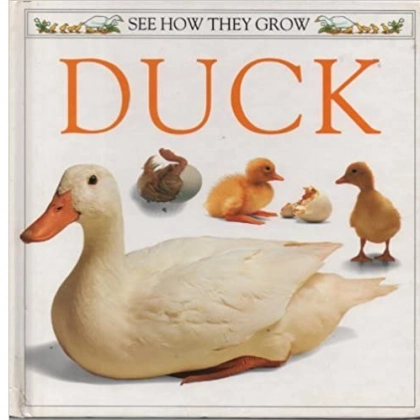 A Dorling Kindersley Book: Duck (See How They Grow) (used)