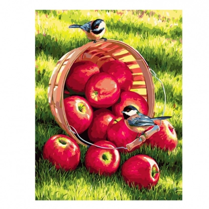 Картина по номерам "Яблоки" 50х40 см X2732