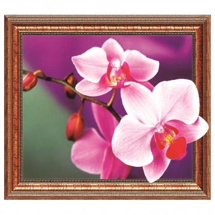 Алмазная живопись "Орхидея" 50х40 см ZX063