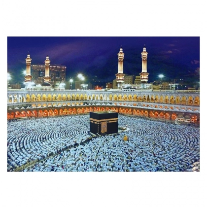 Алмазная живопись 50х40 см SD0002