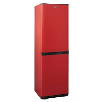 Biryusa H340NF sovutgichi