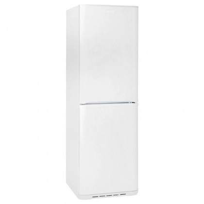 Biryusa 340NF sovutgichi