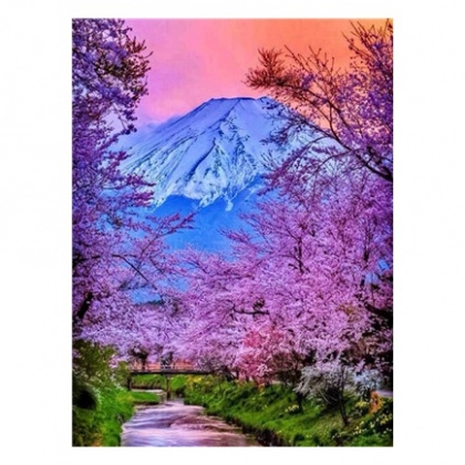 "Fudziyama va sakura" 50x40 sm Y5894 &ndash; raqamlar bo&lsquo;yicha bo&lsquo;yaluvchi surat