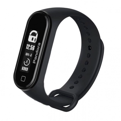 Pandora Band bilaguzugi