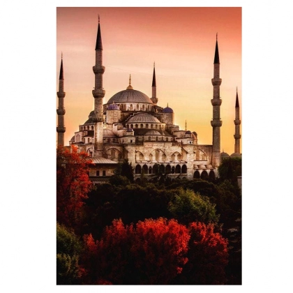 Алмазная живопись 50х40 см S003