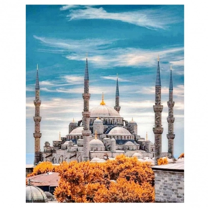 50x40 sm S002 olmosli surati