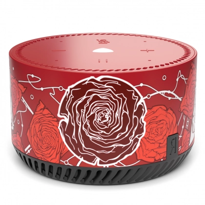 Умная колонка RAINBO Яндекс Станция Лайт Desert Roses