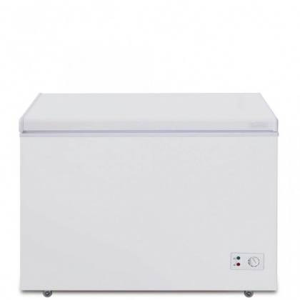 Biryusa 305KX muzlatgich kamerasi