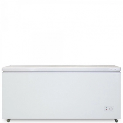 Biryusa 560KX muzlatgichli kamerasi