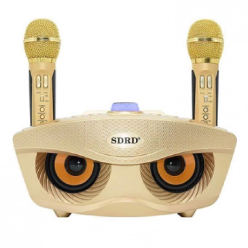 Ikkita mikrofonli portativ Bluetooth kolonkasi, tillarang