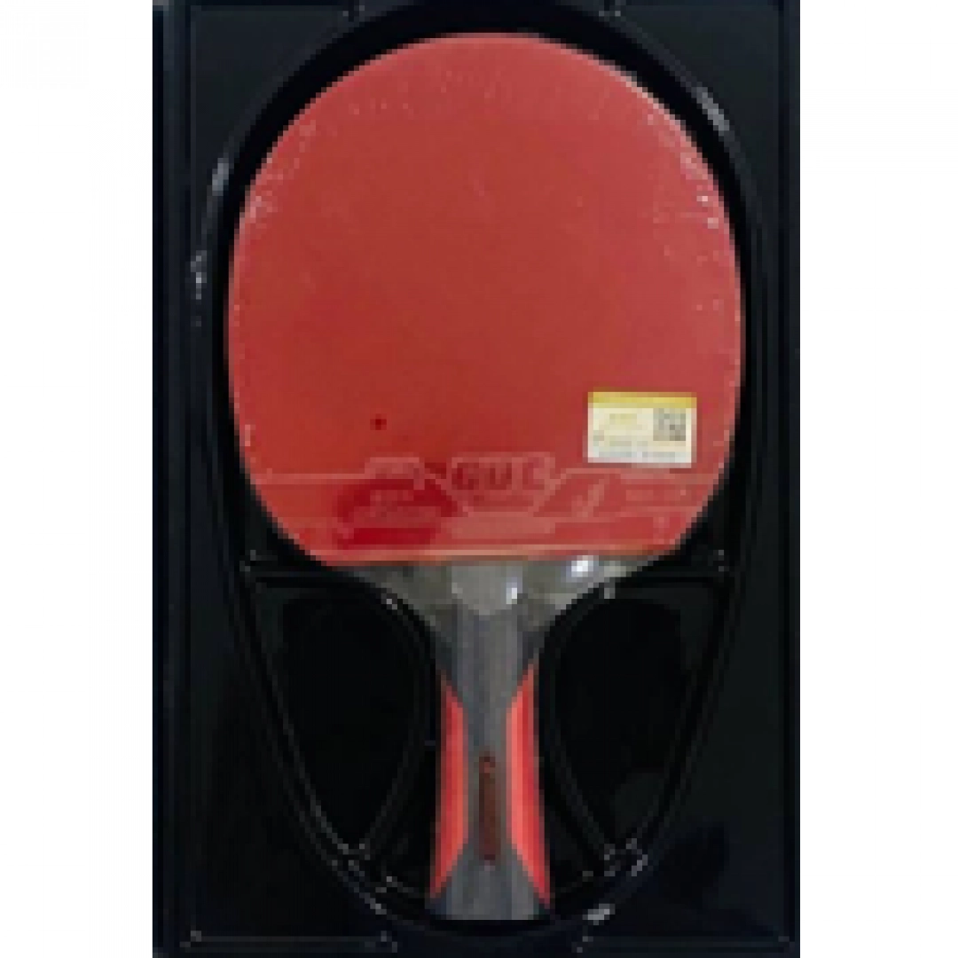 PowergGym Golden 6 Star A309 raketkasi, 1 dona