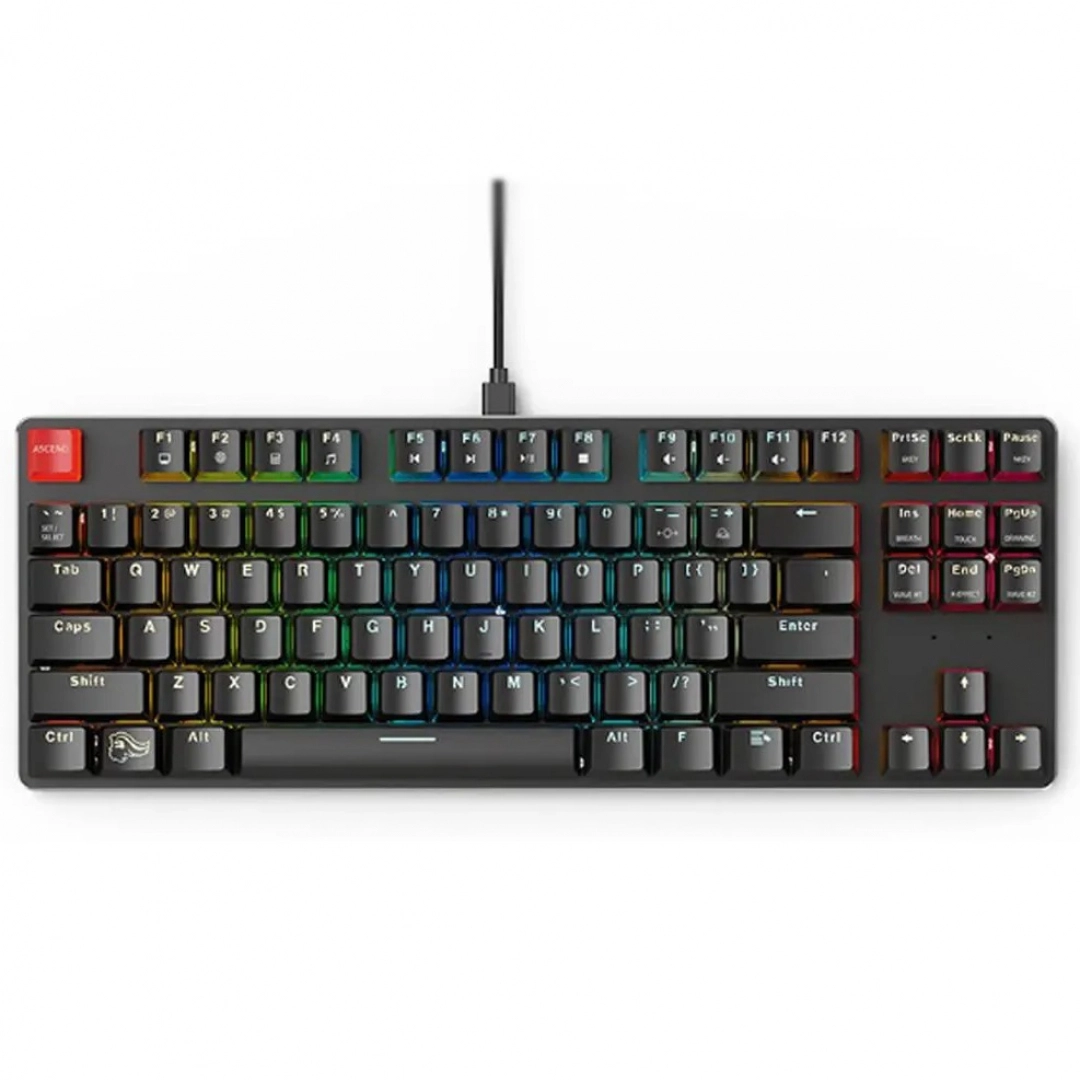 Клавиатура Glorious GMMK TKL Gateron Brown RGB USB Black - фото №1 Клавиатура Glorious GMMK TKL Gateron Brown RGB USB Black