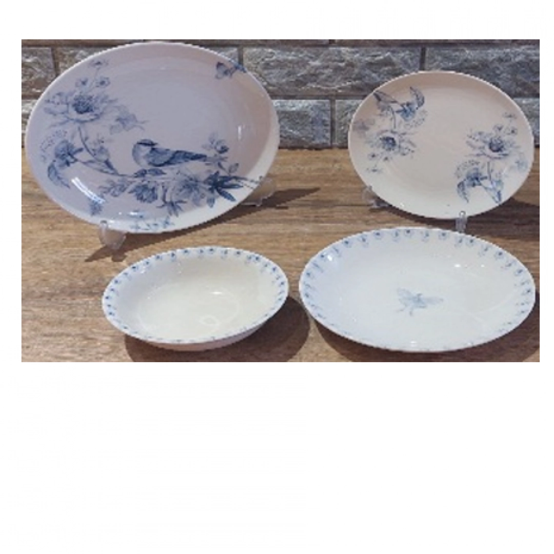 Deniz stol servizi, qush