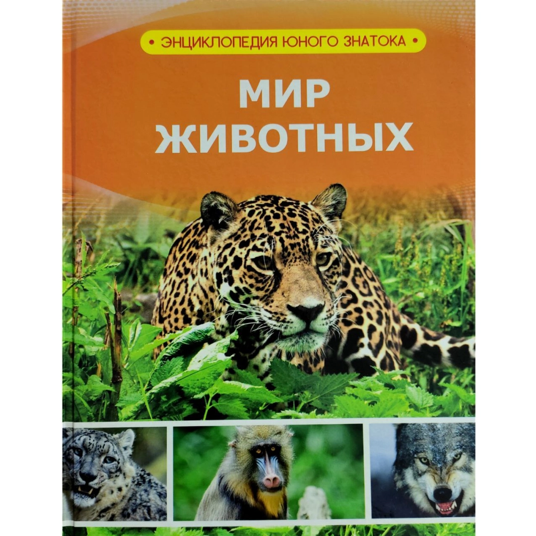 Мир животных (Энциклопедия юного знатока)