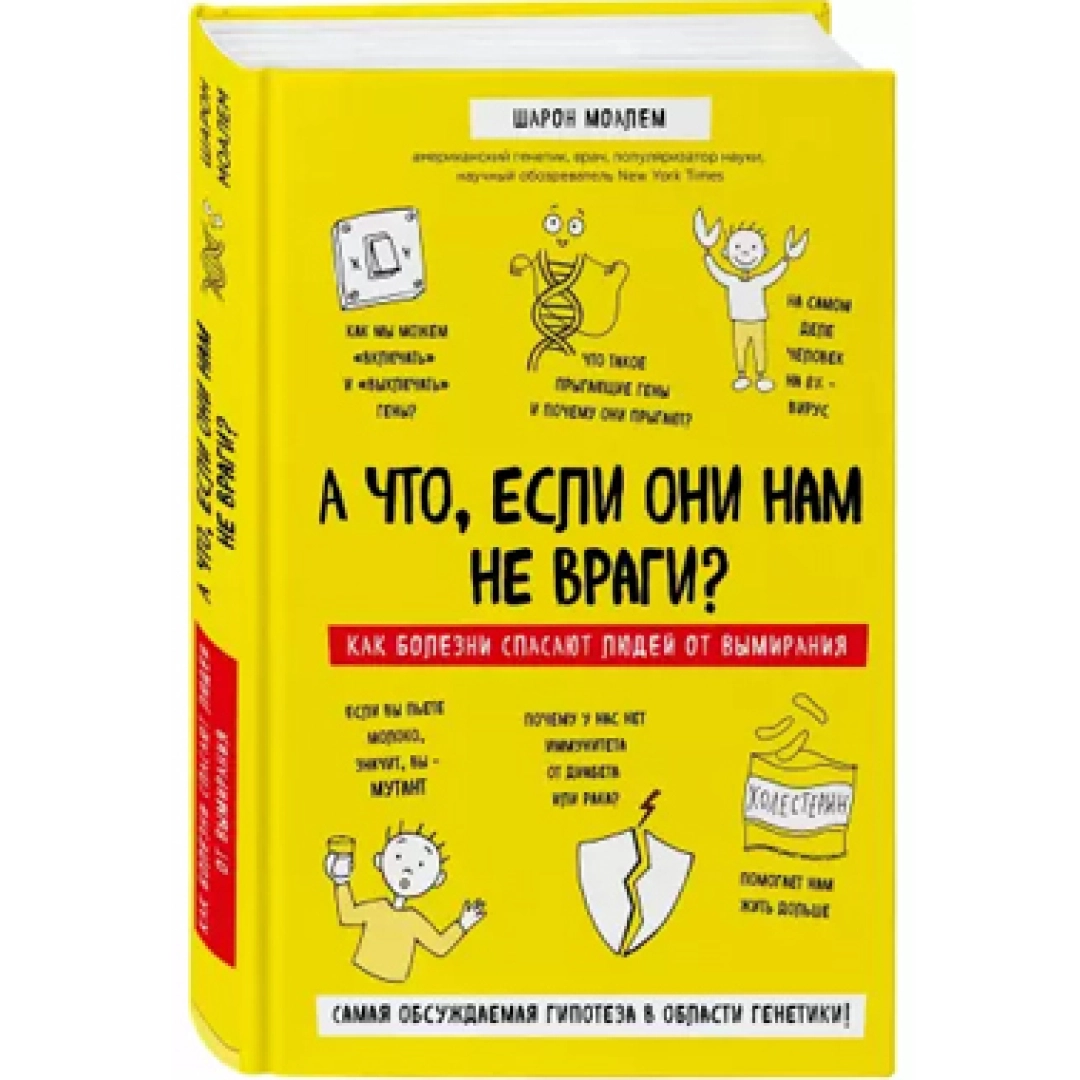 Шарон Моалем: А что, если они нам не враги