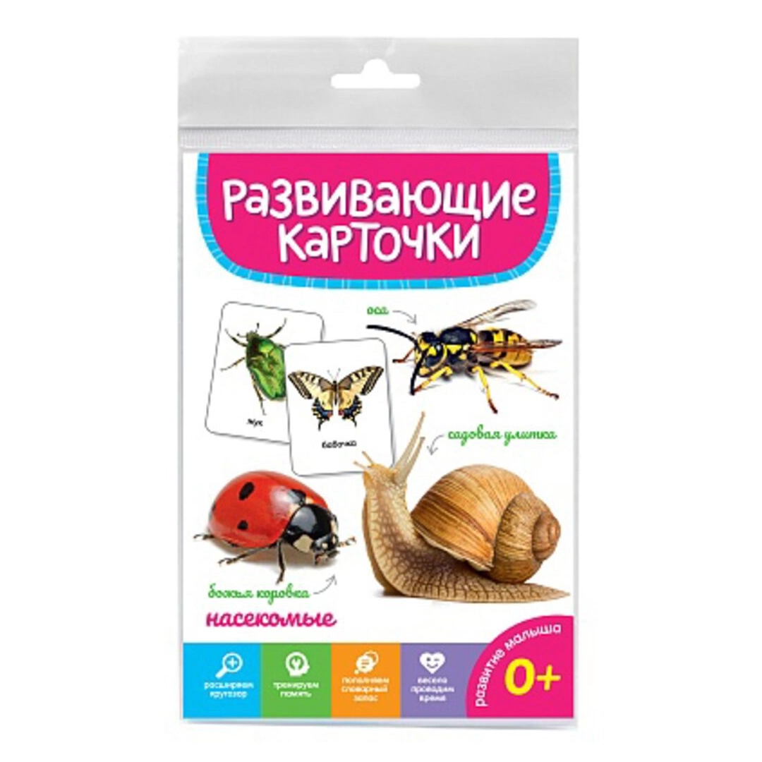 Развивающие карточки: Божья коровка насекомые