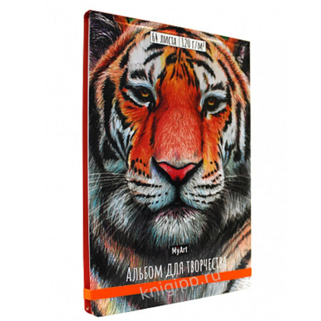 Ijodkorlik uchun "Yo‘lbars" albomi (MyArt)