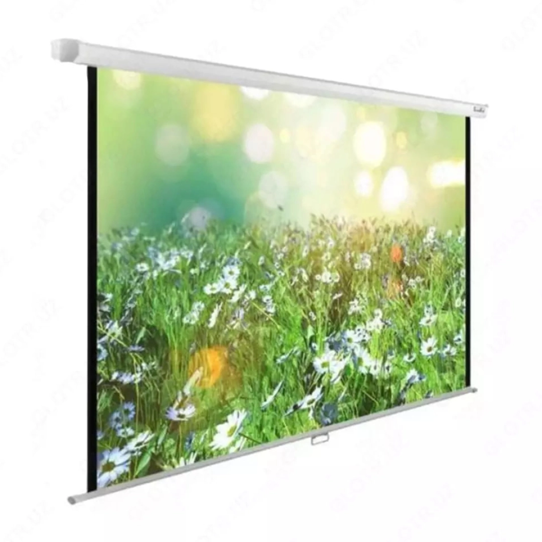 Экран для проектора i-view 2,03x1,5 (Настенный)