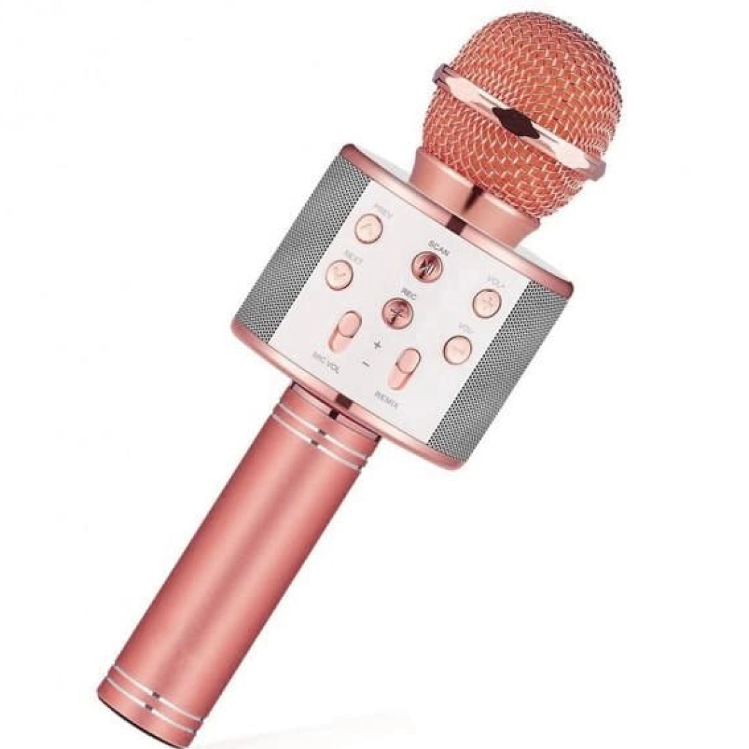 Микрофон WSTER WS-858 золотистый