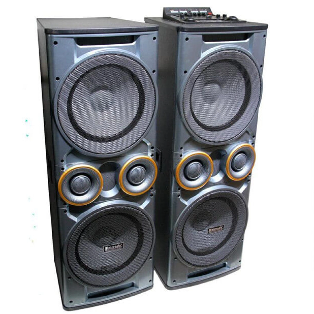 Портативная колонка Meirende MR1212N L/R