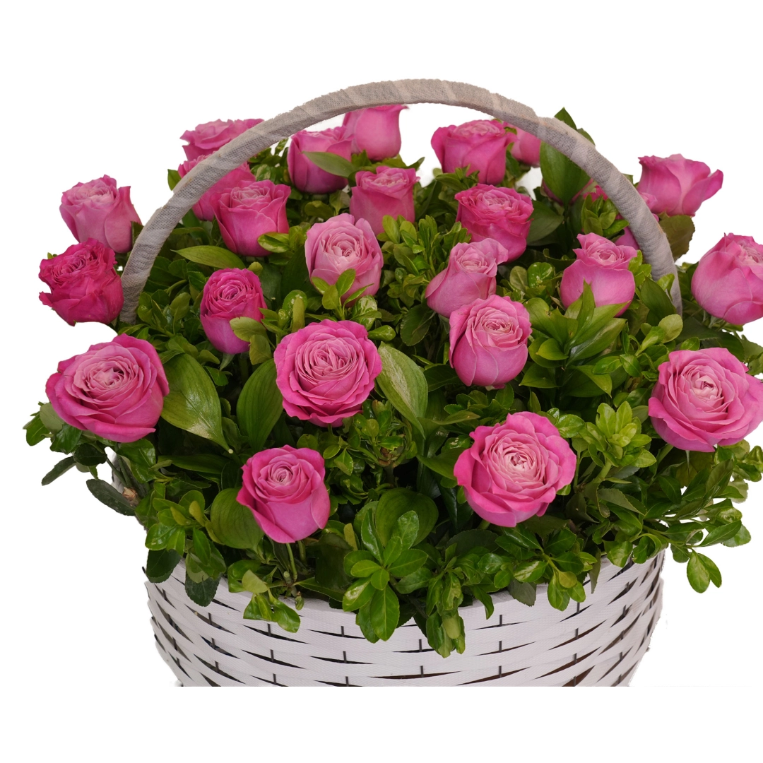 "Atirgul Alfa" gul kompozitsiyasi (25 dona)