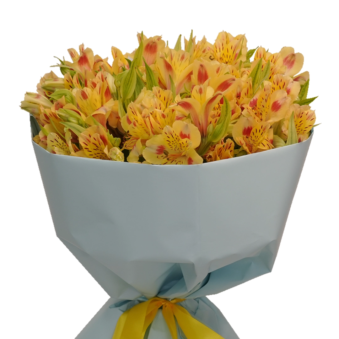 "Alstroemeria" guldastasi (11 dona)