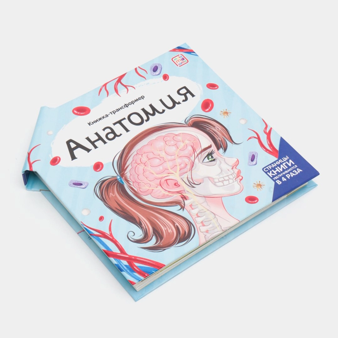 Книжка-трансформер Анатомия