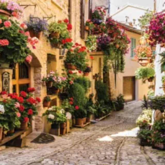 Raqamlar bo'yicha rasm chizish "Gullar bilan ko'cha" (40x50 sm)