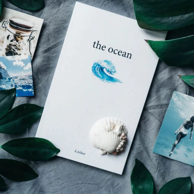 the ocean: poems to let go (the northern collection)