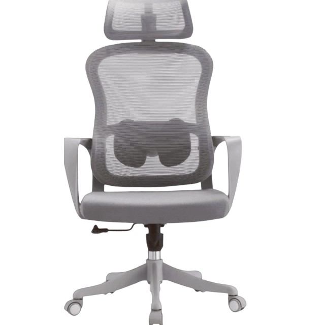 Ofis kreslosi ChairMan 811A, Grey