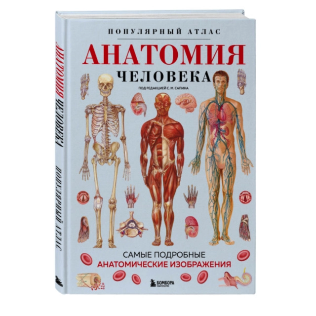 Популярный атлас. Анатомия человека