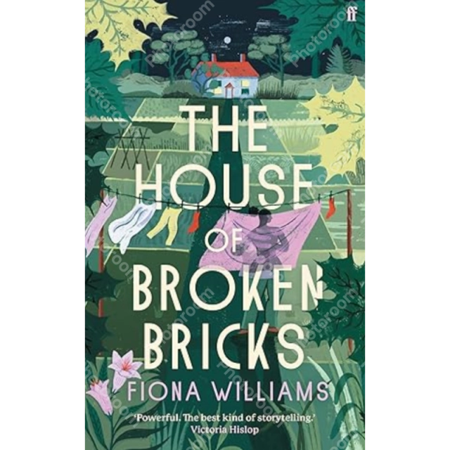 Fiona Williams: The House of Broken Bricks