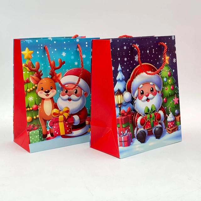 Yangil yil sovg'a paketi (kichik)