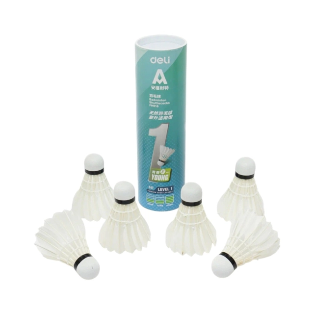 Бадминтонный мяч воланчик Agnite Deli FH916 6 шт