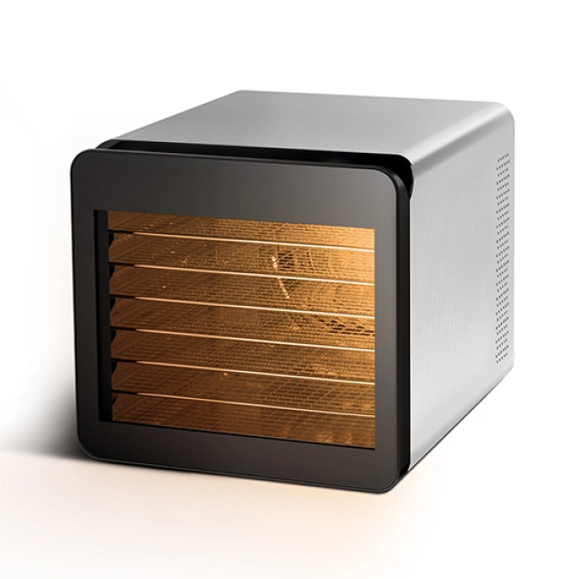 BQ FD1006 Black-Steel sabzavot va mevalar quritgichi