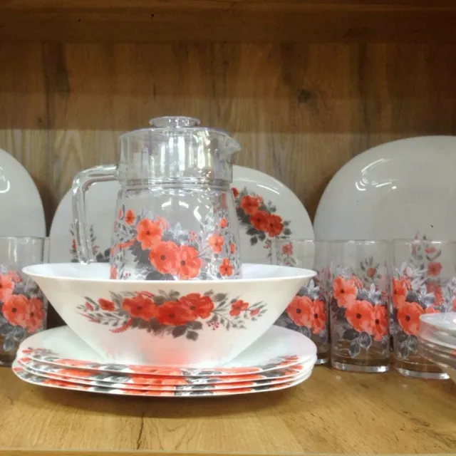 Набор столовой посуды Luminarc Neo Carine Floralte 46 предметов (V4736)