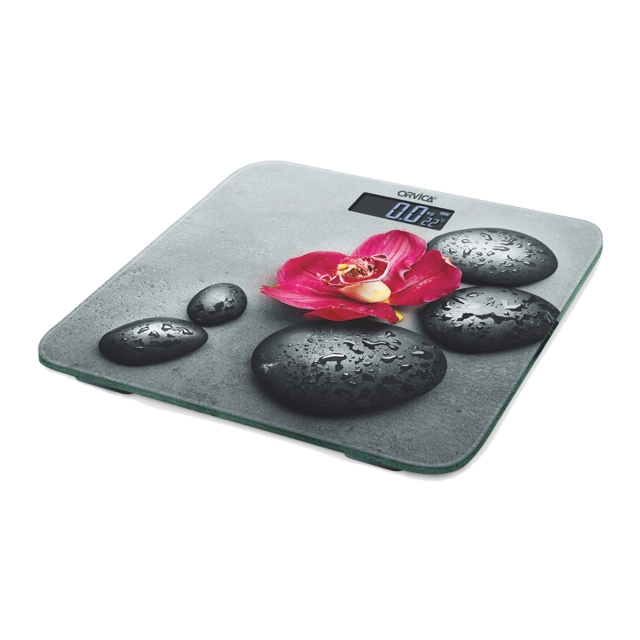 Pol tarozisi ORVICA ORM-8084