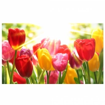 Картина по номерам 